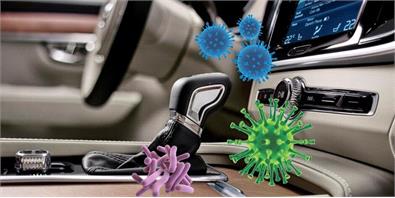 Your Car Is Full Of Nasty Germs