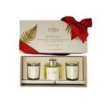 Gifts, Wild Fern Christmas Candle Trio Gift Set   Candles & Diffuser, Eau Lovely