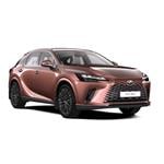 lexus RX  From Jun 2022 to present null []