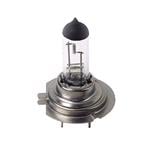 Bulbs   by Bulb Type, Lampa 12V 55W PX26d H7 Bulb   Single, Lampa