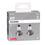Bulbs   by Bulb Type, Lampa 12V 55W H7 Bulb   Twin Pack, Lampa