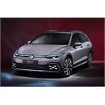 Volkswagen GOLF VIII Variant 2020 Onwards dog guards