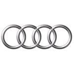 Audi timing chain guides