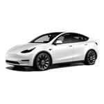 tesla MODEL Y  From Mar 2019 to present null []