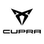 CUPRA wing mirrors