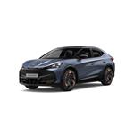 CUPRA TAVASCAN 2024 Onwards dog guards