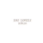 Eau So Amazing Diffuser 250ml by Eau Lovely 