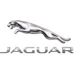 Jaguar control unit electric fan  engine cooling 