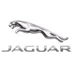 Jaguar wing mirrors