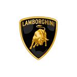 Lamborghini knock sensors