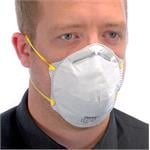 Disposable Dust Masks