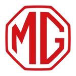 Mg wing mirrors