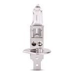 Bulbs   by Bulb Type, Neolux 12V 55W H1 P14.5s Bulb   Single, Neolux