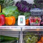 Small Appliances, GreenTech PureAir Fridge Air Purifier   Banish Fridge Smells and Extend Produce Dates, PureAir