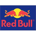Oracle Red Bull Racing Pro Series Seat Covers - Full Set