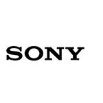 Sony Linkbuds WFL900H In-Ear True Wireless Earbuds - Black