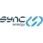 SyncEV EV Charging Cable Carry Case