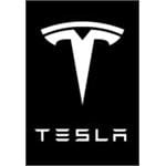 Tesla top strut mounting