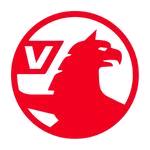 Vauxhall wing mirrors
