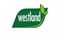 Westland, All Brands starting with "W"