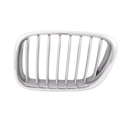 Bmw X5 Series E53 2000 2003 Grille L.H. (Passengers Side), Titanium