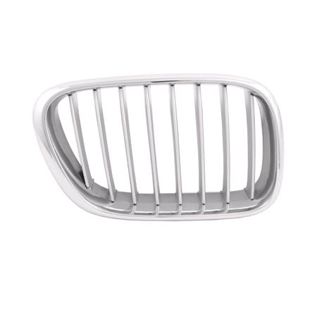 Bmw X5 Series E53 2000 2003 Grille R.H. (Drivers Side), Titanium
