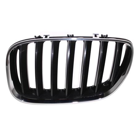 Bmw X5 Series E53 2004 2006 Grille L.H. (Passengers Side), Chrome