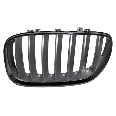 Bmw X5 Series E53 2004 2006 Grille L.H. (Passengers Side), Titanium