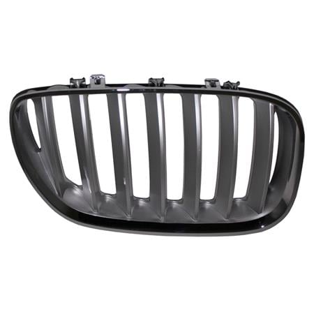 Bmw X5 Series E53 2004 2006 Grille R.H. (Drivers Side), Titanium