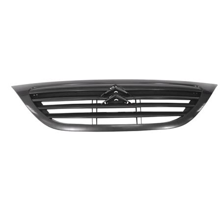 Citroen C3 2002 2005 Grille