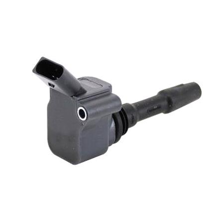 HOFFER Ignition Coil   8010858