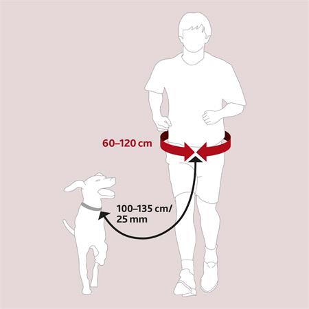 Dog Walking Waist Leash Belt