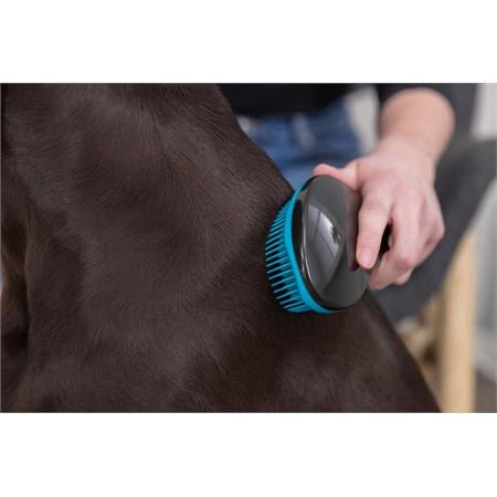 Soft Tip Detangling Dog Brush