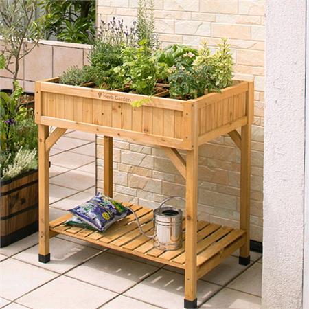 Sprouting Wooden Raised Herb Garden Planter
