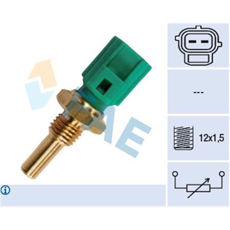 FAE Engine Management Temp Sensor   33250