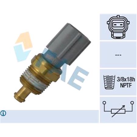 FAE Coolant Temperature Sensor   33734