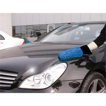Car Wash Glove