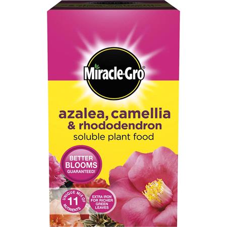 Miracle Gro Azalea & Camelia 500grm