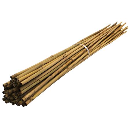 BAMBOO CANES 12 14MM 7'
