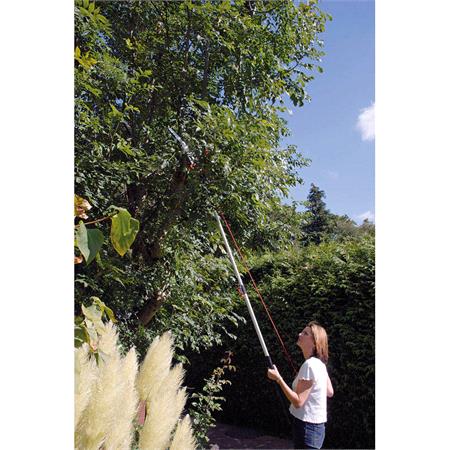 Draper Expert 45334 Tree Pruner with Telescopic Handle   Cutting Capacity 32mm Dia.