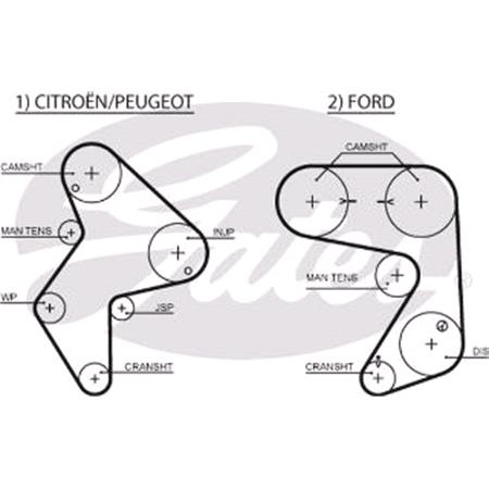 Gates Timing Belt   5248XS