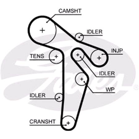 Gates Timing Belt   5648XS