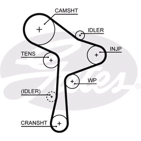 Gates Timing Belt   5678XS