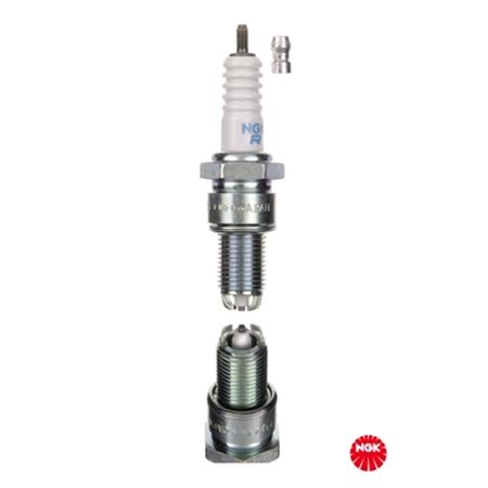 NGK Spark Plug (single)   5685