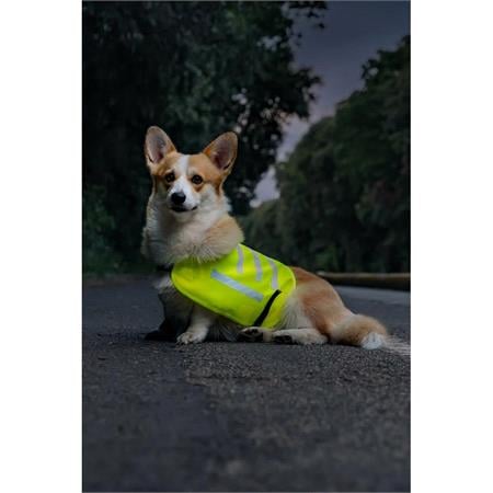 Dog Safety Vest   High Visibility Life Vest for Your Pet   Size S