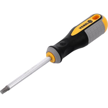 TORX SCREWDRIVER T40x100MM