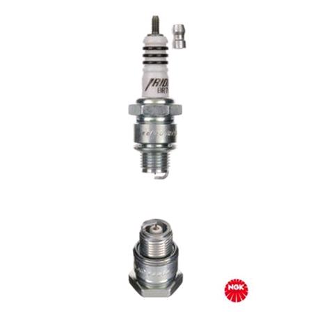 NGK Spark Plug (single)   7067