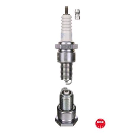 NGK Spark Plug (single)   7822