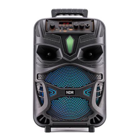 Karaoke Speaker with Mic