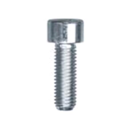 HEXAGON SOCKET HEAD 10 pcs